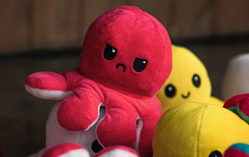 Photo of octopus plush toy